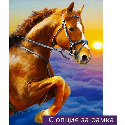 Диамантен Гоблен "Кон" - 30 x 40 см, Кръгли мъниста