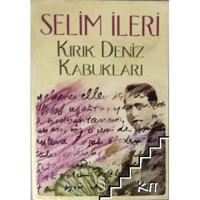 Kırık Deniz Kabukları