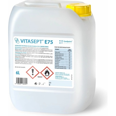 Goodpoint Vitasept E75 6l
