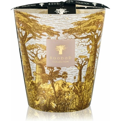 Baobab Collection Sacred Trees Bounkani 1100 g