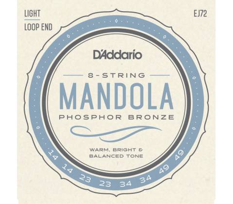 D'Addario EJ72