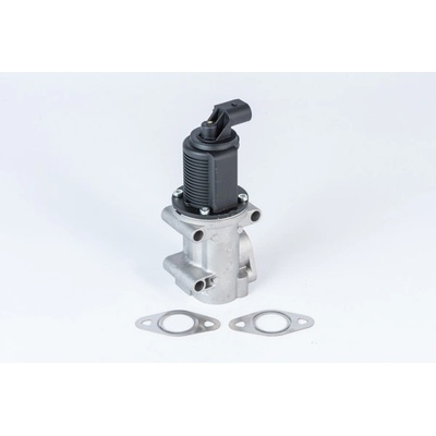 AGR - Ventil BorgWarner (Wahler) 710952R