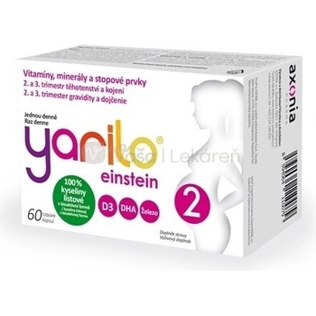 Yarilo Einstein 2 60 tobolek