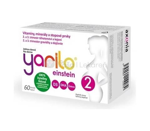 Yarilo Einstein 2 60 tobolek