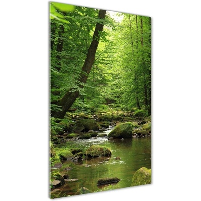 Vertikálny foto obraz fotografie na skle Rieka v lese 50x100 cm