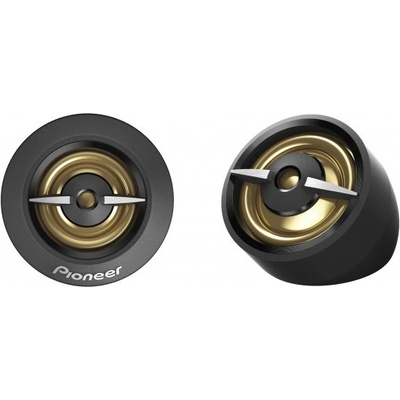 Pioneer TS-A301TW