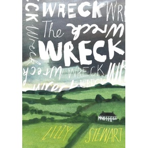 Wreck | Lizzy Stewart (ISBN: 9781787335318)