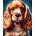 Norimpex - Puzzle Diamant painting: Cocker Spaniel with a gold collar 30x40cm - 1 - 39 piese