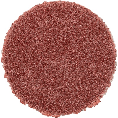Pferd 42832024 | PSA-Discs 12 A 240