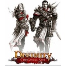 Divinity: Original Sin (Enhanced Edition)