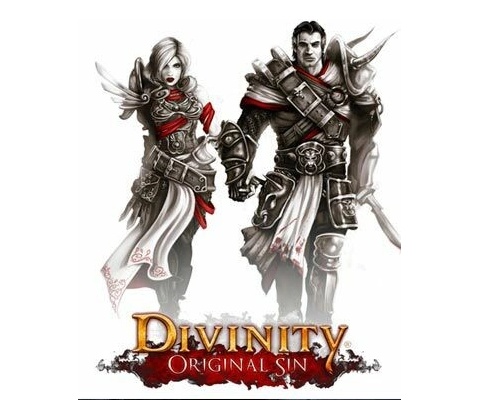 Divinity: Original Sin (Enhanced Edition)