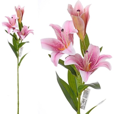 ĽALIA STARGAZER RUŽOVO-BIELA 3 KVETY 73CM