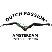 Dutch Passion Frisian Duck 0% THC Balenie: 3 ks