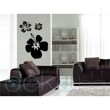 Image 1 of Хибискуси (3001)