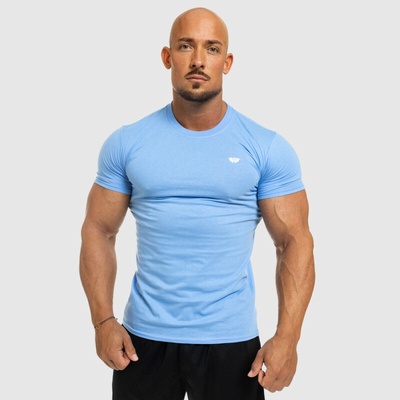 Pánske fitness tričko Iron Aesthetics StandardModrá