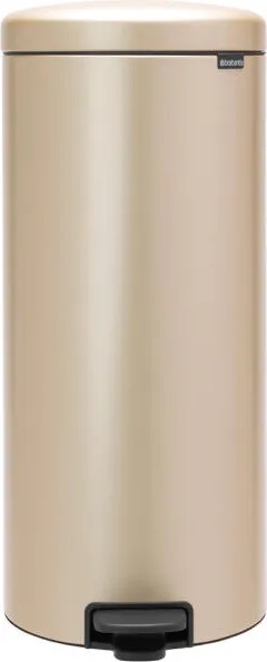 Brabantia NewIcon 30 l
