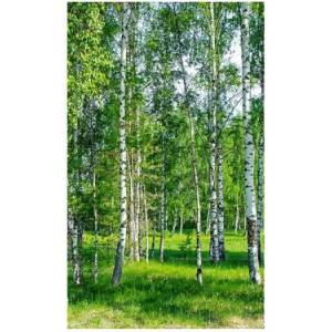 DIMEX ART Флизелинов фототапет брезова горичка 150 x 250 см