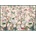 Interdruk - Puzzle Secret garden 1000 - 1 000 piese