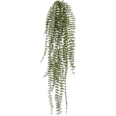 MF Umělá rostlina Dishidia převis (70cm) - šedozelená