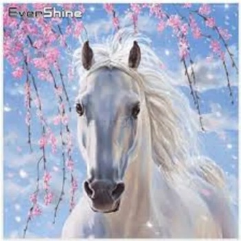 Image 1 of Красив кон 15/20 см