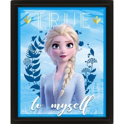 Obraz 3D Frozen