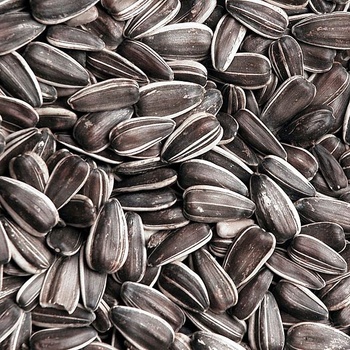 Biostan Biokron Slunečnice černá 5 kg