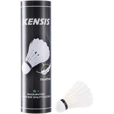 Kensis FSC 6
