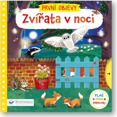 Zvířata v noci