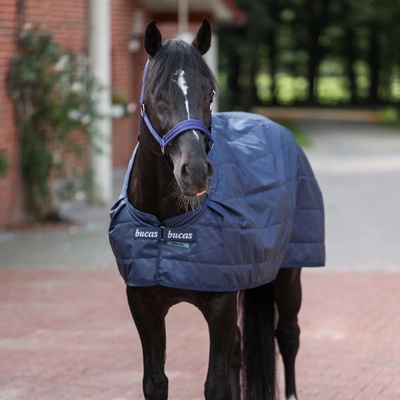 Bucas Liner navy