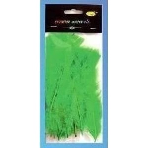 Galeria Hobby Light green soft feathers 15pcs