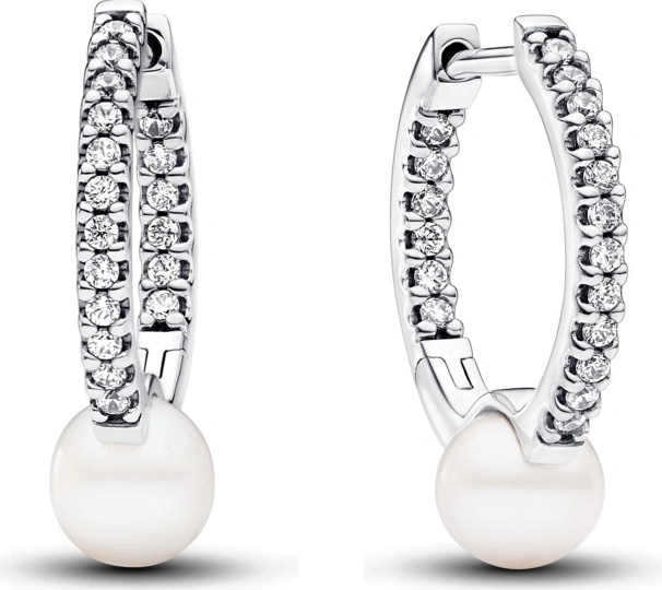 Pandora 293171C01