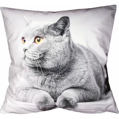 Forbyt Mačka 40 x 40 cm