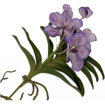 Orchidej (phalaenopsis) s listem Vanda fialová V42 cm
