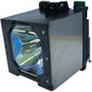 Lampa do projektora NEC GT5000, Originálna lampa vrátane modulu