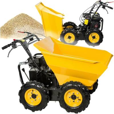 Hahn & Sohn Cedrus TR300
