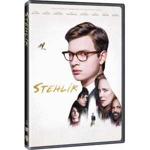 MagicBox Щиглецът - dvd (030818)