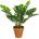 Bizzotto ИЗКУСТВЕНО РАСТЕНИЕ philodendron 45cm (0172399)