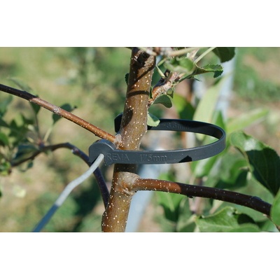 REMA Pásek pro uchycení kmínků REMA STAMMHALTER 175 mm - balení 500 ks Velikost č. 2 pro drát průměru 2,0 – 2,2 mm