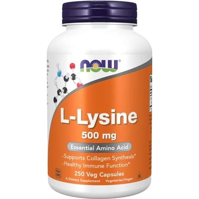 Now Foods L-Lysine 500 mg 250 rostlinných kapslí
