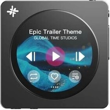 FiiO Snowsky Disc