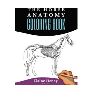 Horse Anatomy Coloring Book For Adults - Self Assessment Equine Coloring Workbook (ISBN: 9780955265358)