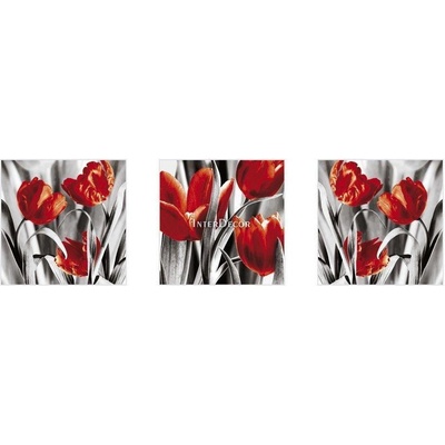 Čérvené tulipány 1 deska 100x35