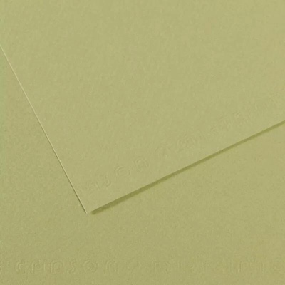 Canson Mi-Teintes barevný papír 21 x 29,7 cm A4 48 odstínů 480 Light green