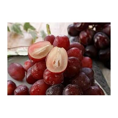 Vinič Red Shine Muscat bezsemenná vrúbľovaná sadenica. NEW.