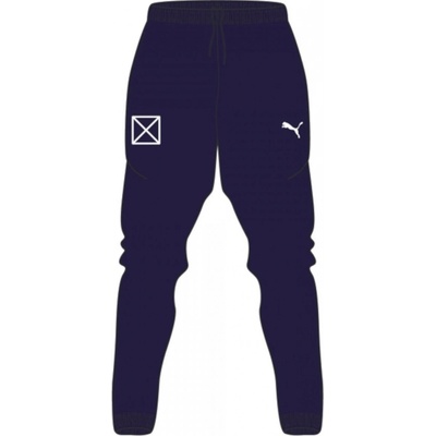 Puma teamRISE Poly Trg Pants Jr modrá