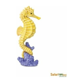 Safari Seahorse