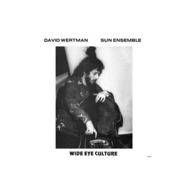 Wide Eye Culture David Wertman & Sun Ensemble CD