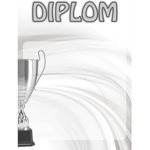 diplom 01