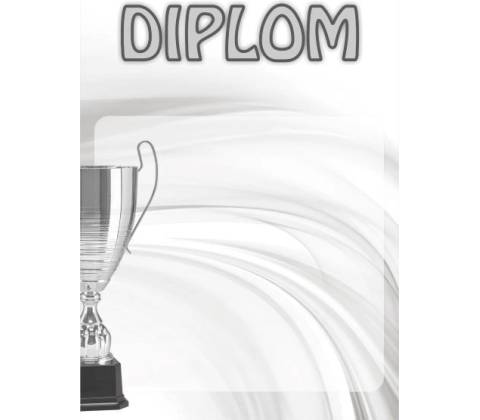 diplom 01