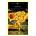 Beowulf | Michael Alexander